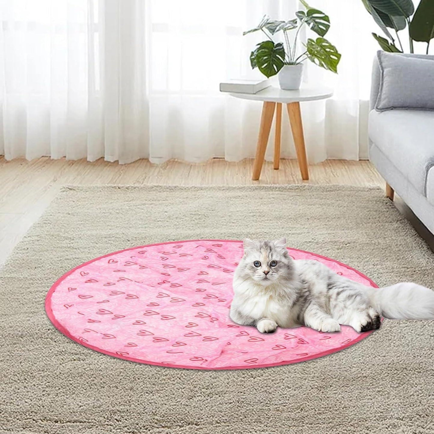 Cat Smart Ball Mat