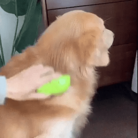 Pet Steam Brush