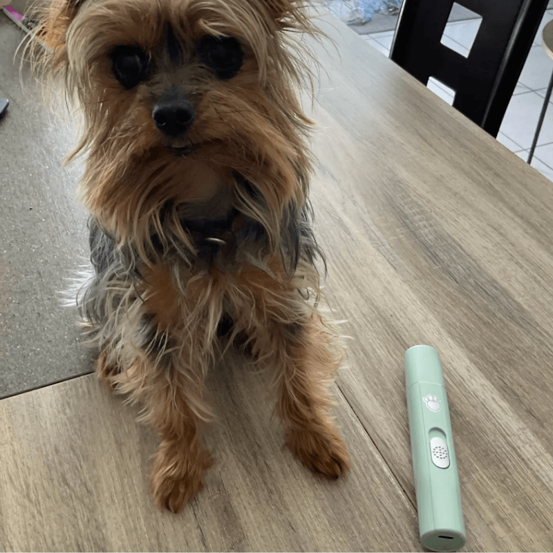 Pet Nail Grinder
