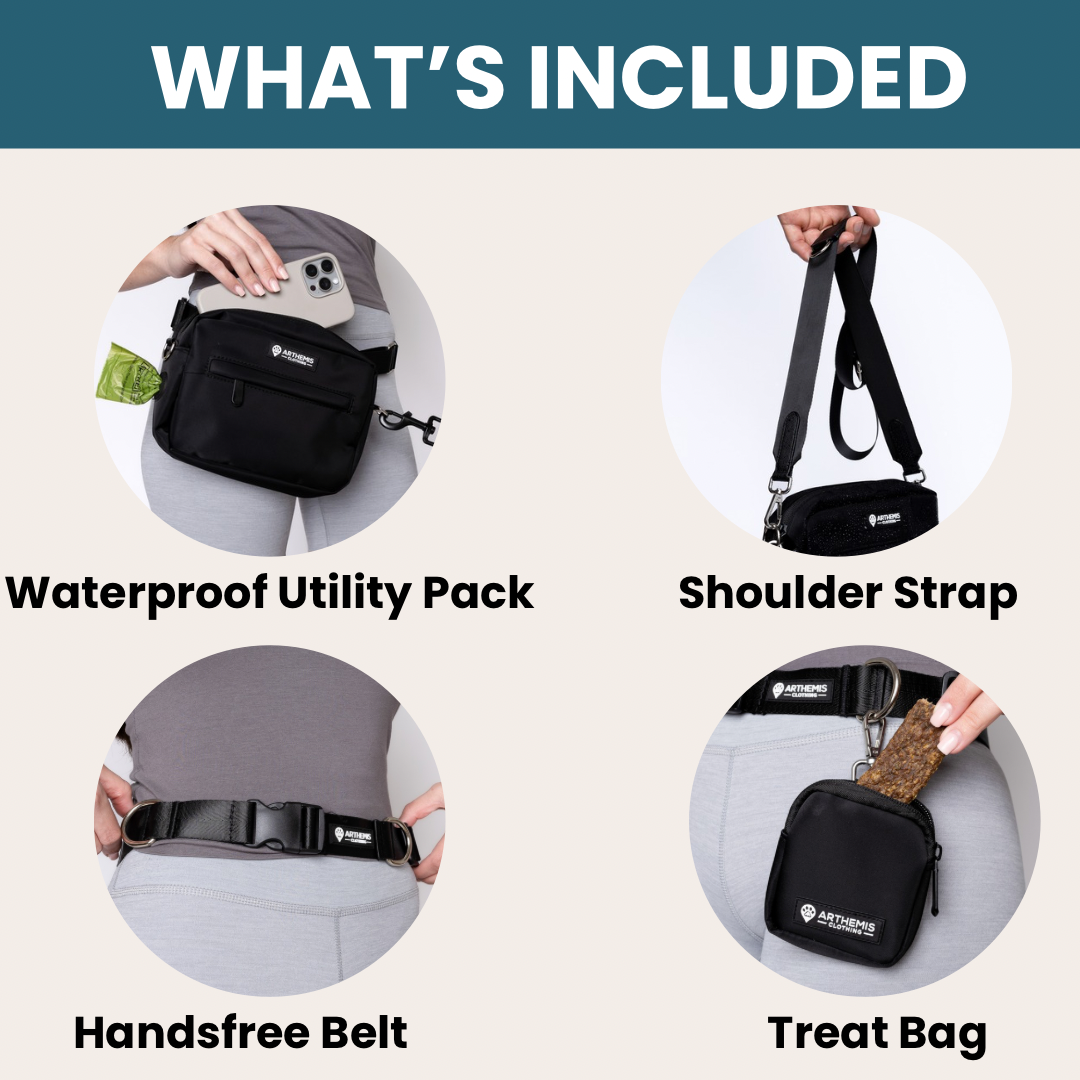 3-In-One Dog Pack