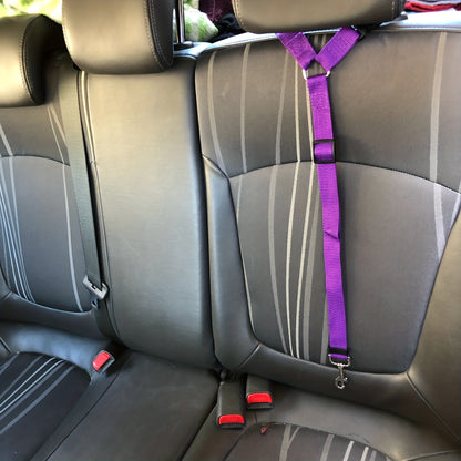 Dog Seat Harness