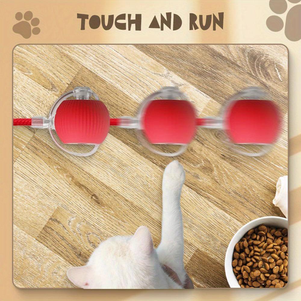 Smart Cat Ball Toy