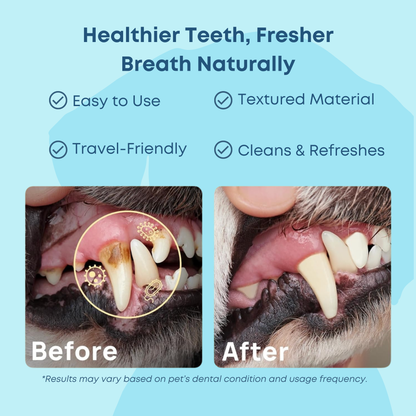 Pet Dental Wipes
