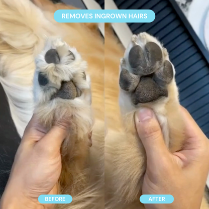 Pet Groomer with LED Light