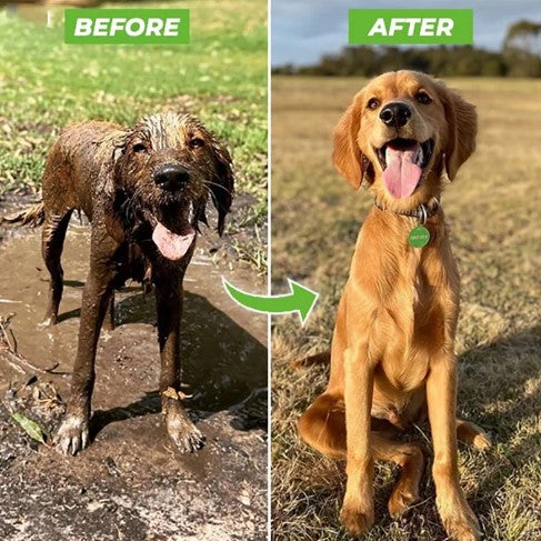 Pet Jet Spray