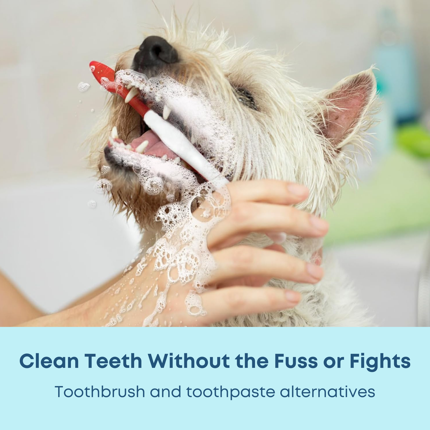 Pet Dental Wipes