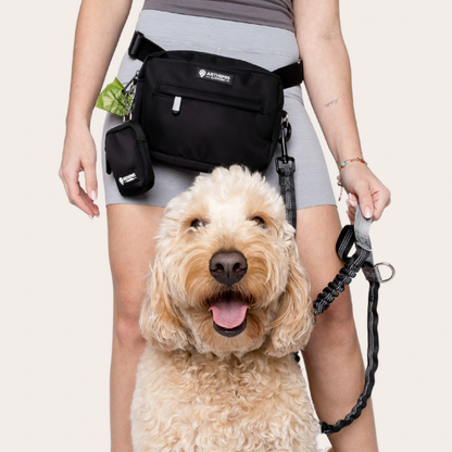 3-In-One Dog Pack
