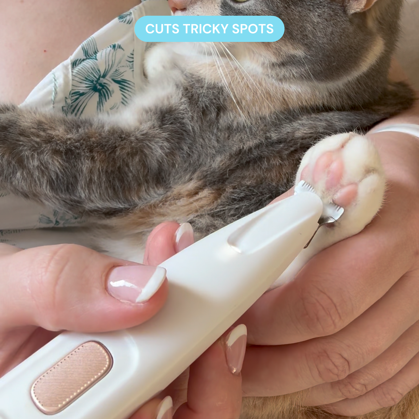 Pet Groomer with LED Light