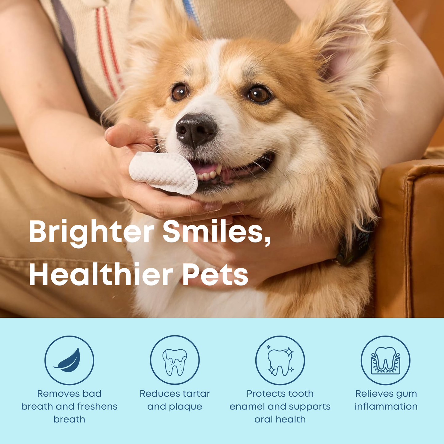 Pet Dental Wipes