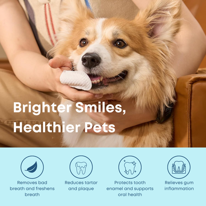 Pet Dental Wipes