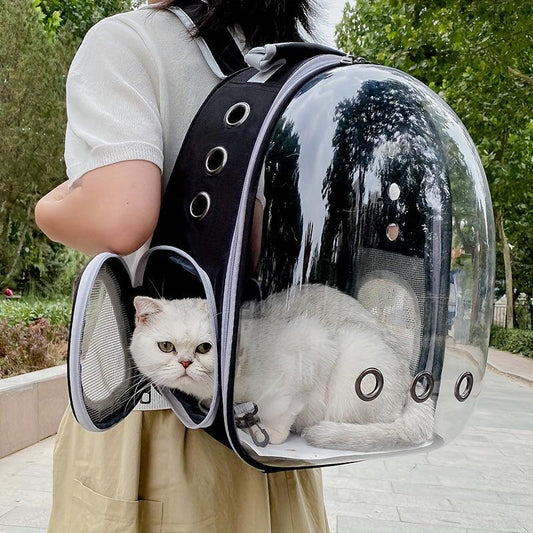 Cat Bubble Backpack