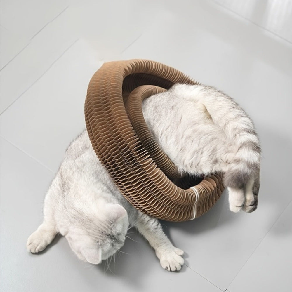 Cat Spiral Toy