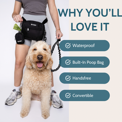 3-In-One Dog Pack