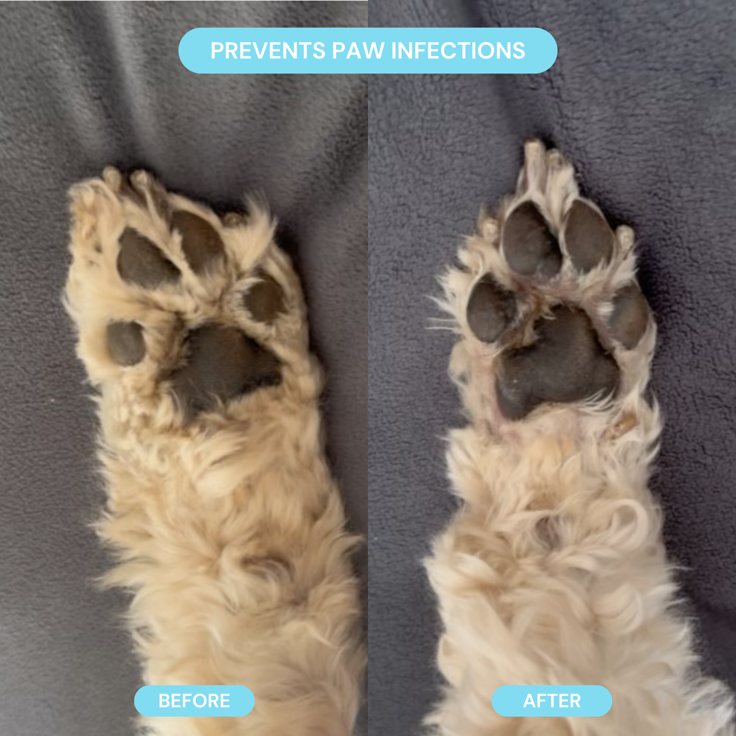 Pet Groomer with LED Light