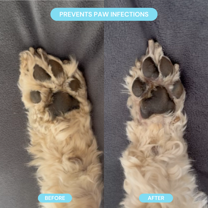 Pet Groomer with LED Light