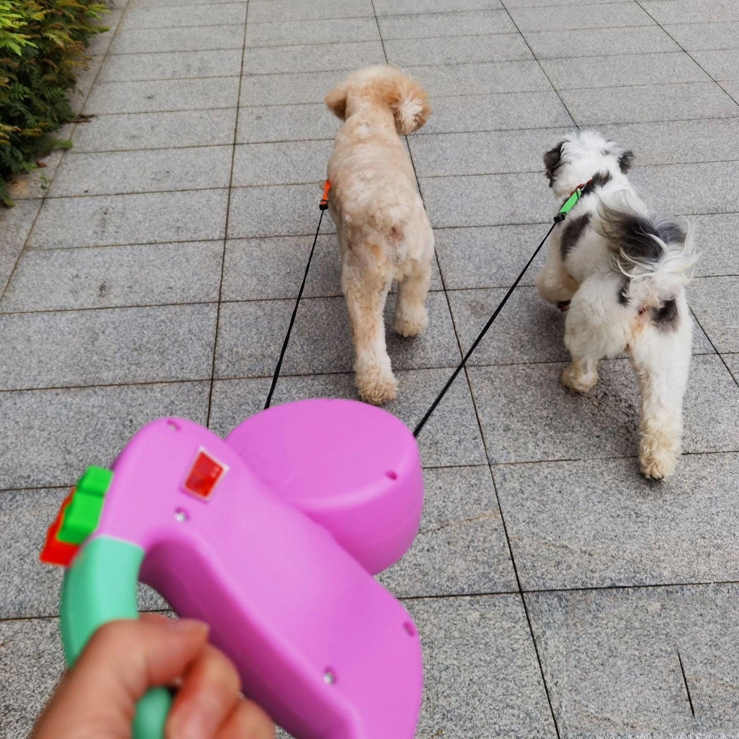 2 in 1 Retractable Dog Leash