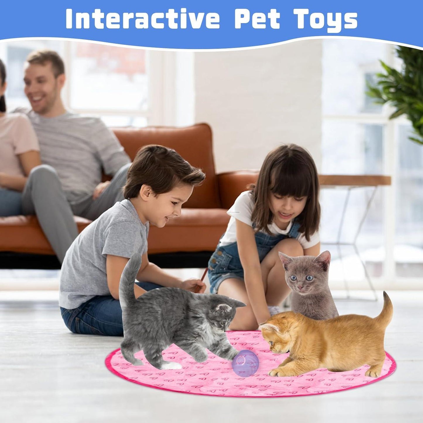 Cat Smart Ball Mat