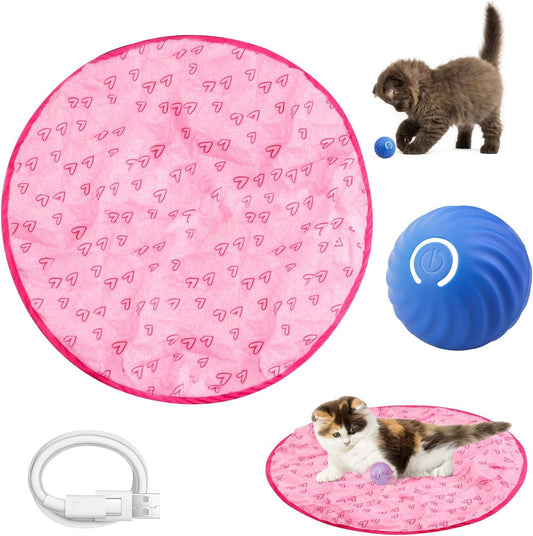 Cat Smart Ball Mat