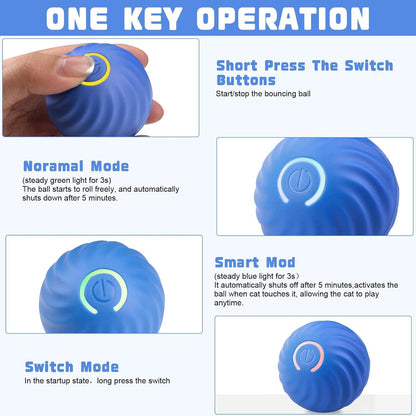 Cat Smart Ball Mat