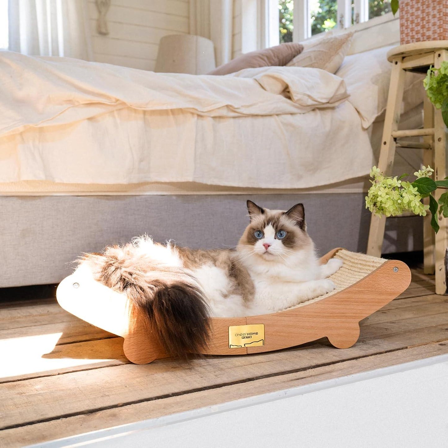 Cat Scratcher Bed