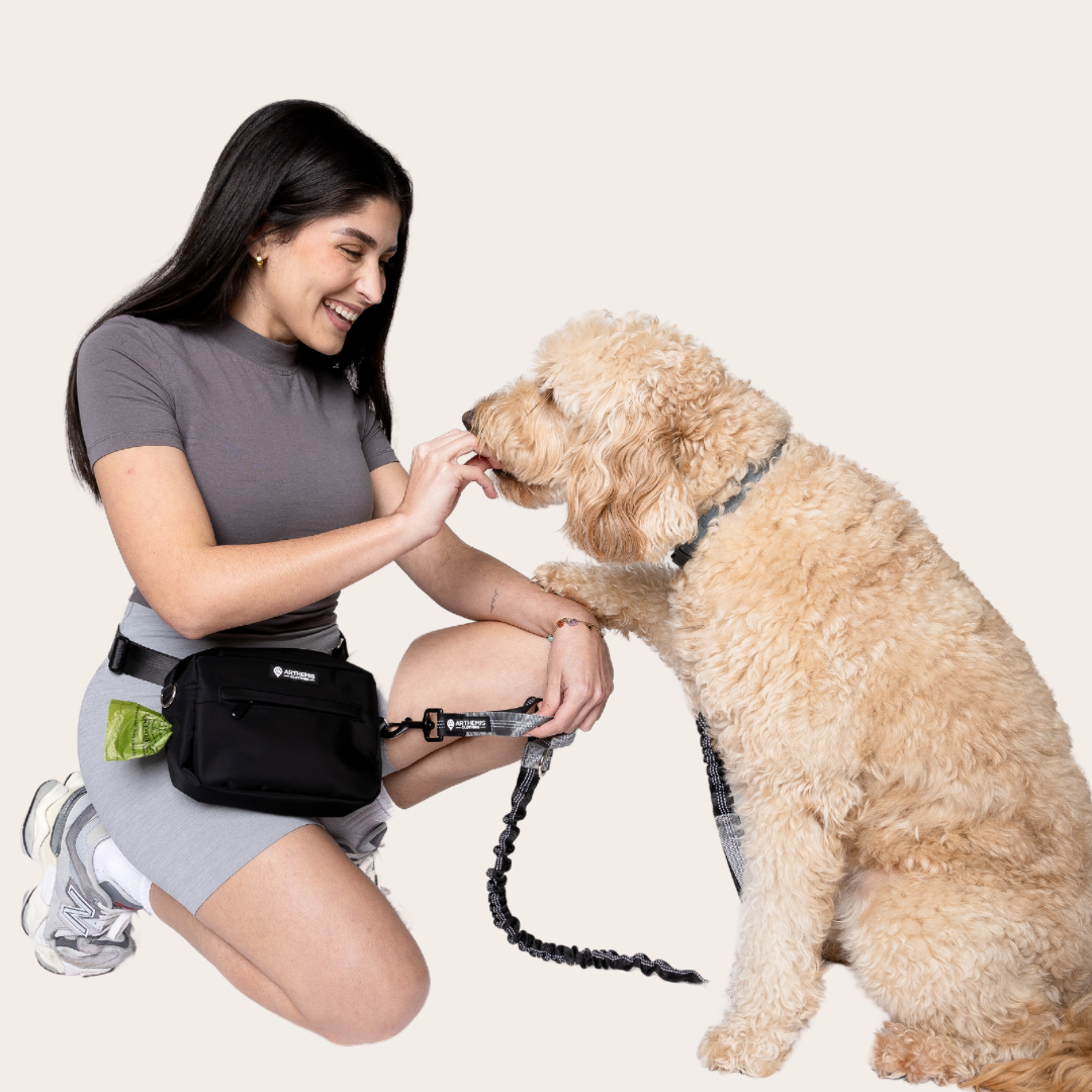 3-In-One Dog Pack