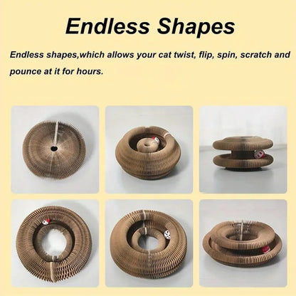 Cat Spiral Toy
