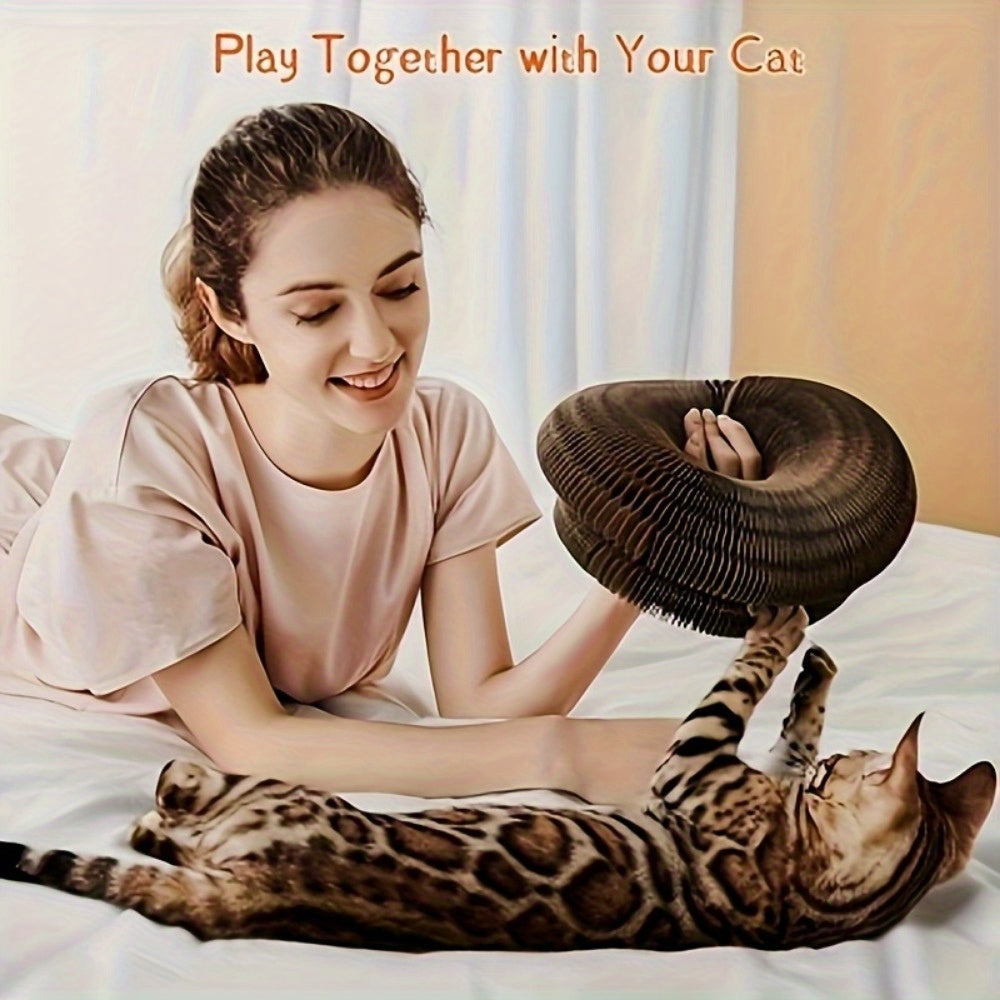 Cat Spiral Toy