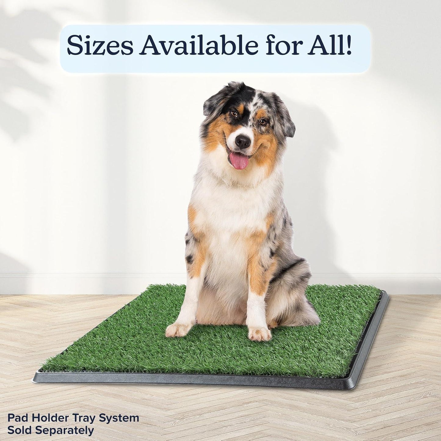 Dog Grass Potty Pad