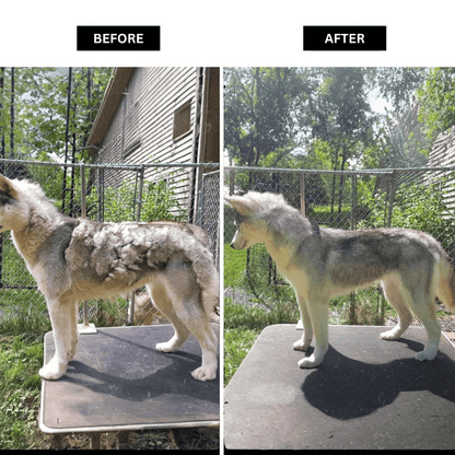 Pet Grooming Vacuum