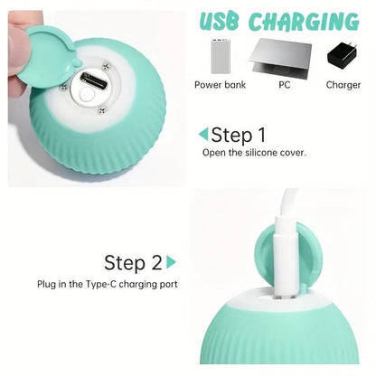 Smart Rolling Ball Toy