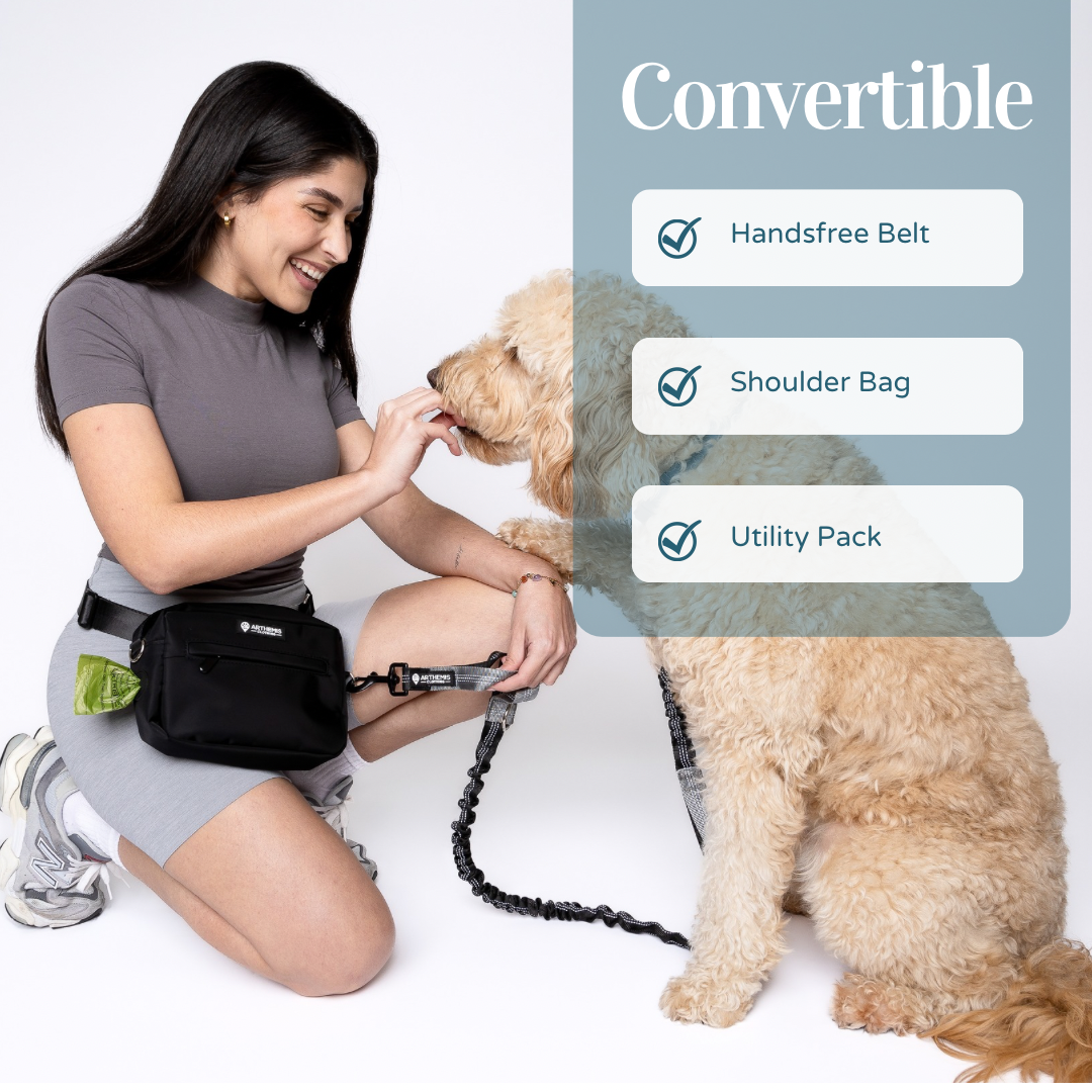 3-In-One Dog Pack