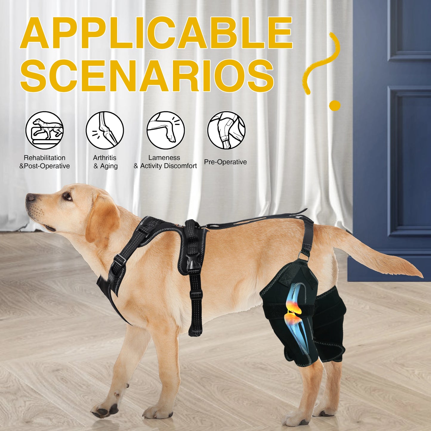 Mobility Support Harness