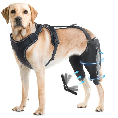 Mobility Support Harness