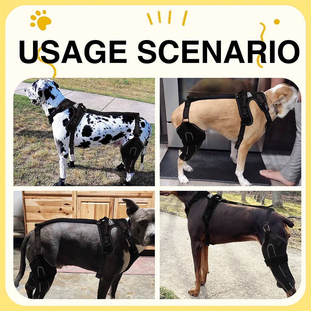 Mobility Support Harness
