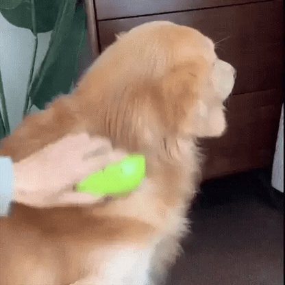 Pet Steam Brush