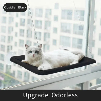 Cat Window Hammock Bed