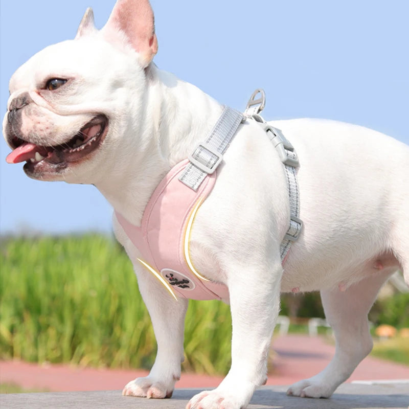 Cosy Dog Harness
