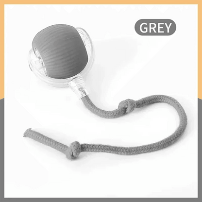 Smart Cat Ball Toy