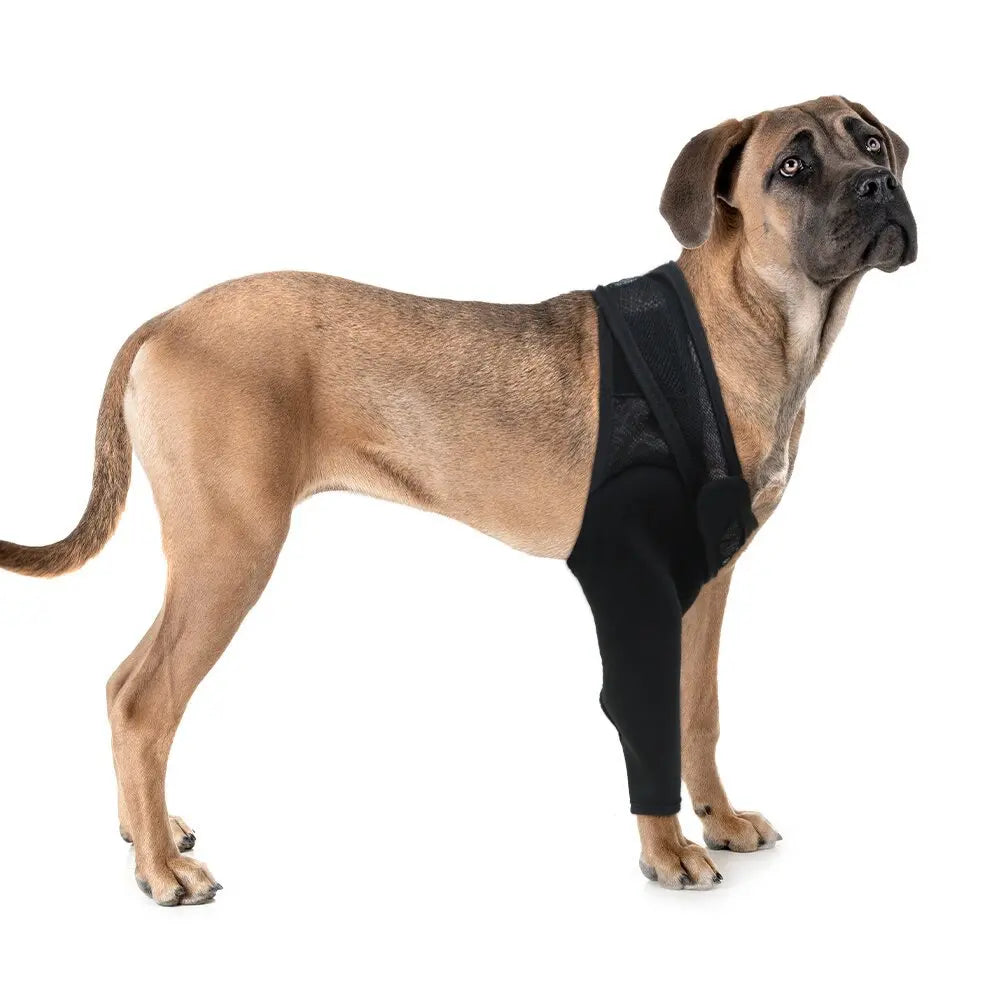 Dog Knee Brace
