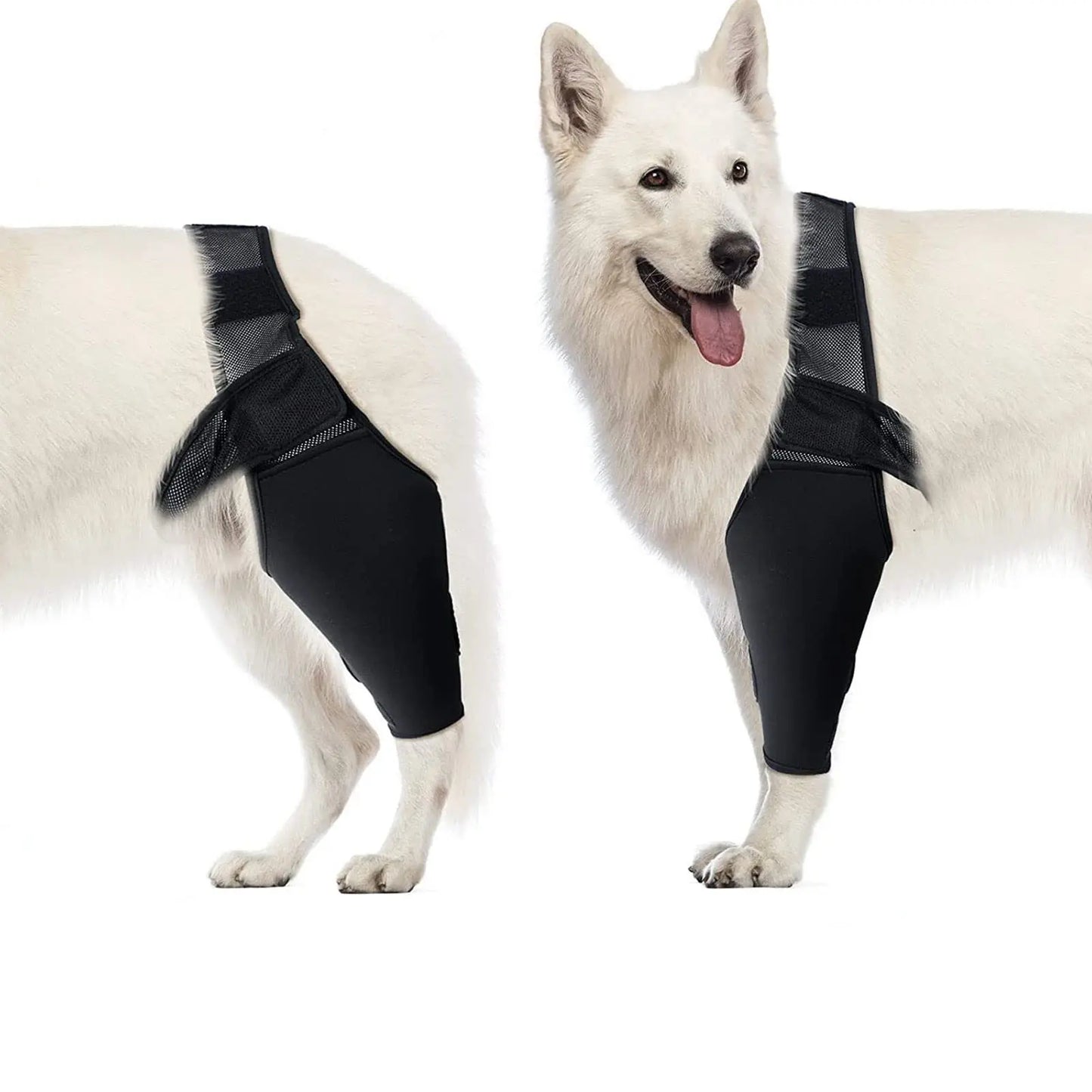 Dog Knee Brace