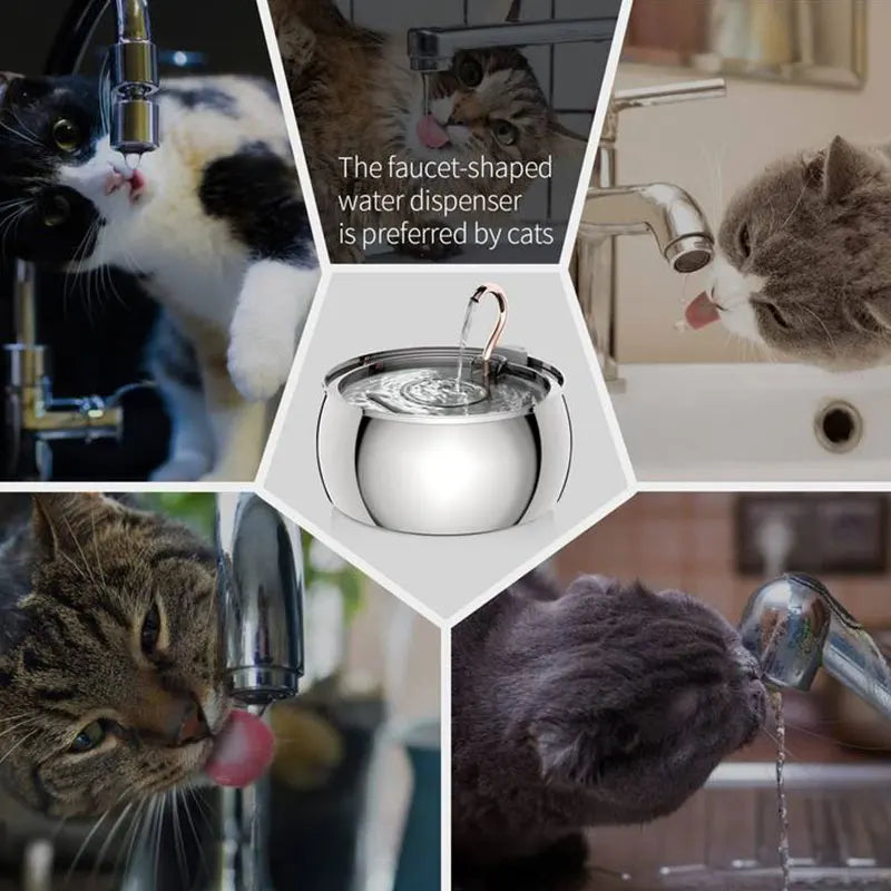 Pet Water Fountain