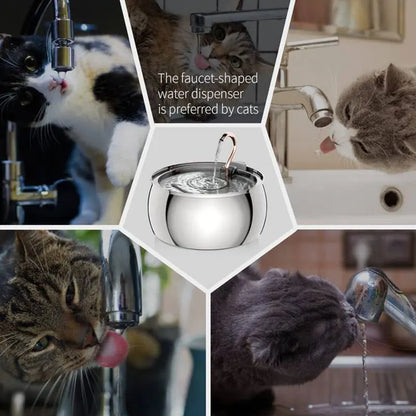 Pet Water Fountain