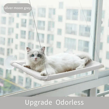 Cat Window Hammock Bed