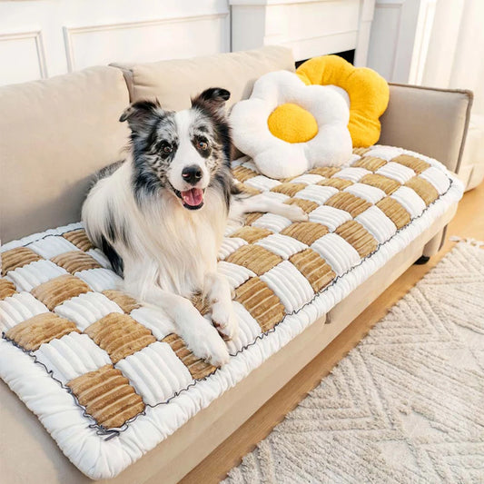 Snapaus™ Bed & Couch Protector
