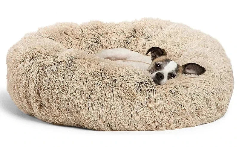 Anxiety Relieving Dog Bed