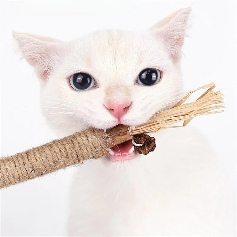 Dental Sticks