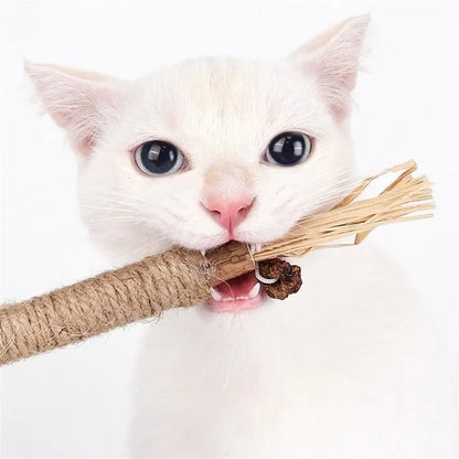 Dental Sticks