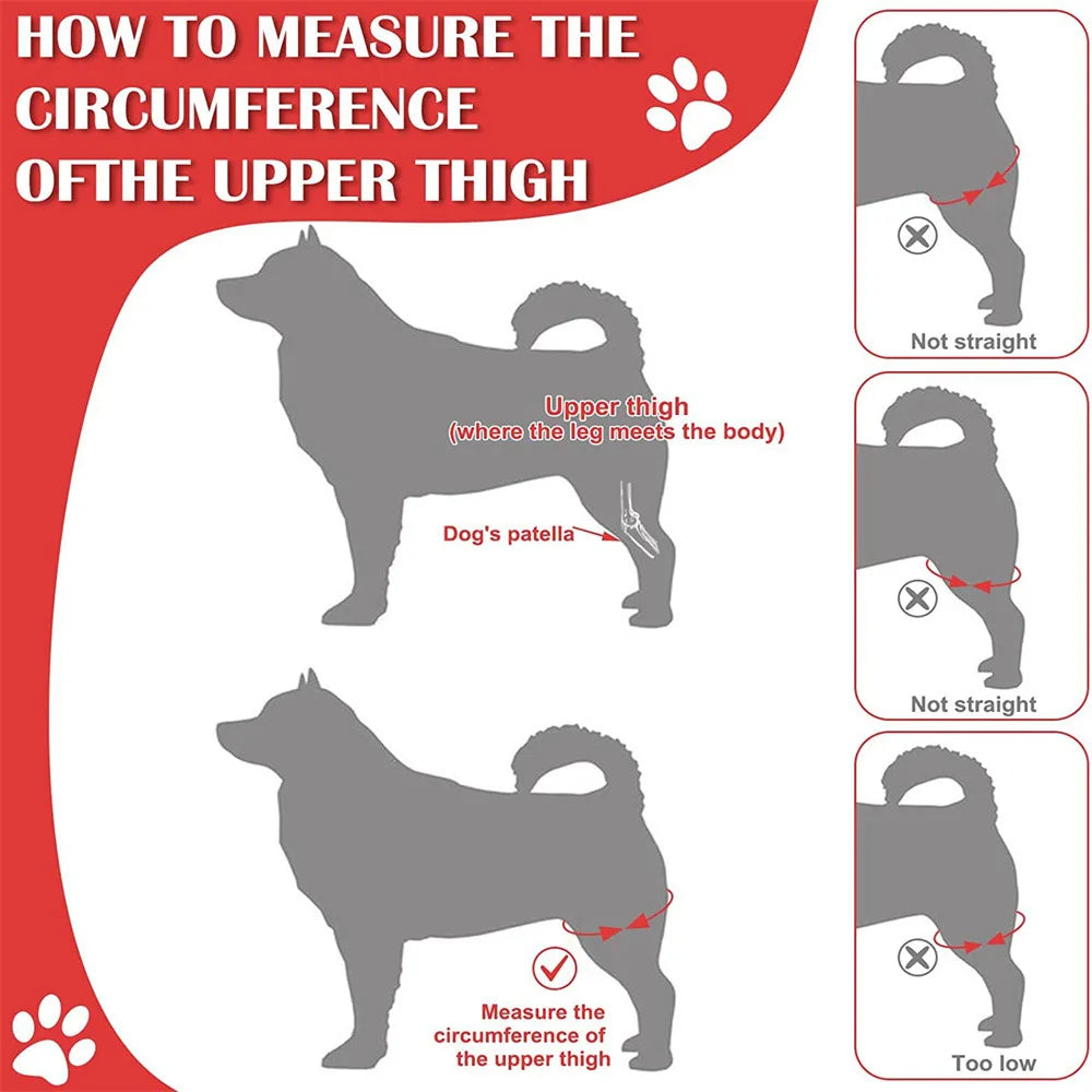 Dog Knee Brace