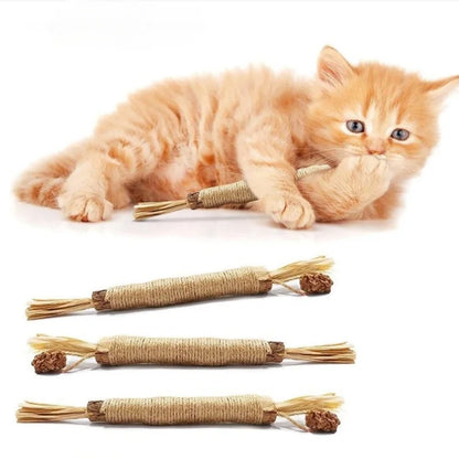 Dental Sticks