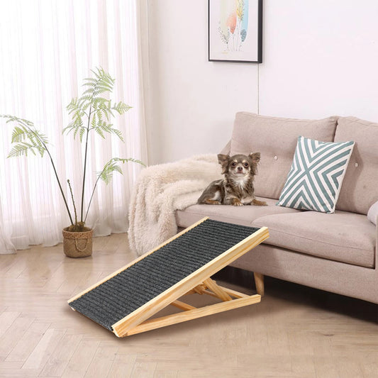 Dog Paw Ramp